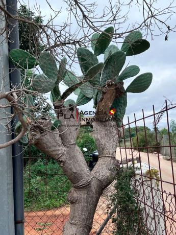 Terreno en La Pedrera-Vessanes