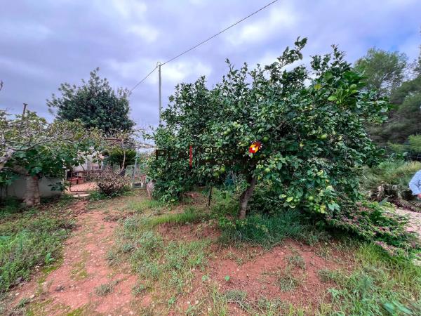 Terreno en La Pedrera-Vessanes