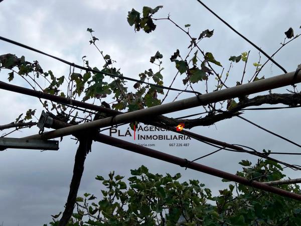 Terreno en La Pedrera-Vessanes