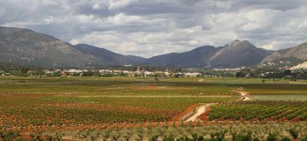 Terreno en camino del Cementeri, 41