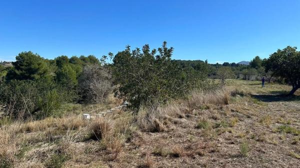 Terreno en camino taraulla