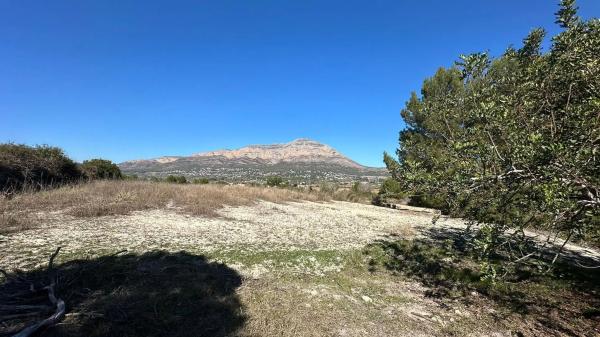Terreno en camino taraulla