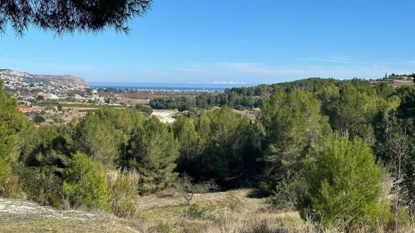 Terreno en camino taraulla