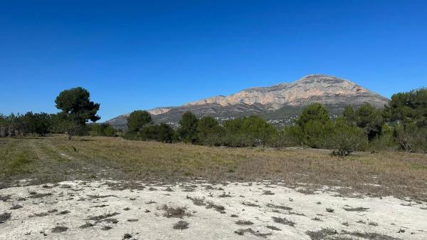 Terreno en camino taraulla