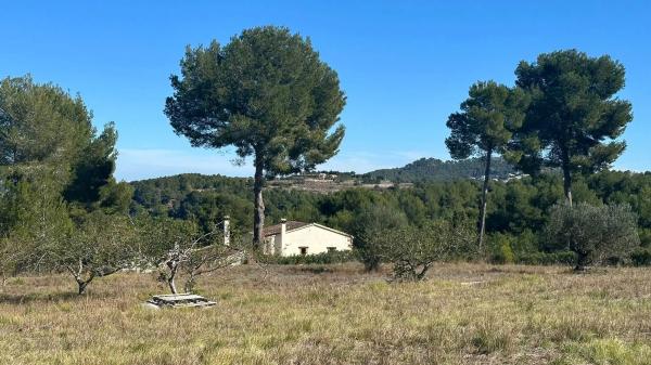 Terreno en camino taraulla