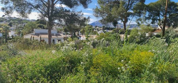 Terreno en camino Adsubies, 214 C