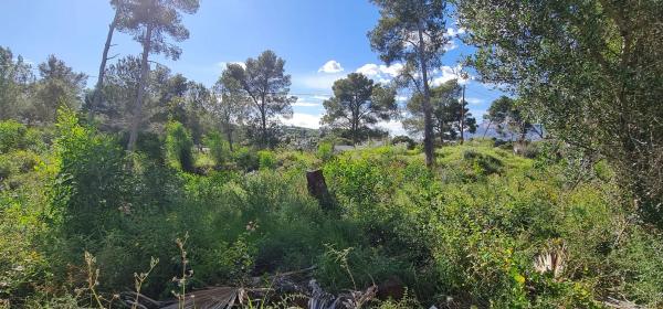 Terreno en camino Adsubies, 214 C