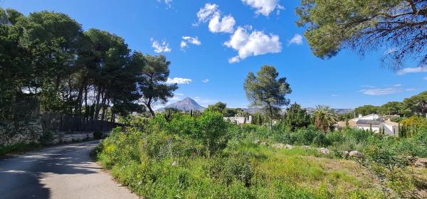 Terreno en camino Adsubies, 214 C