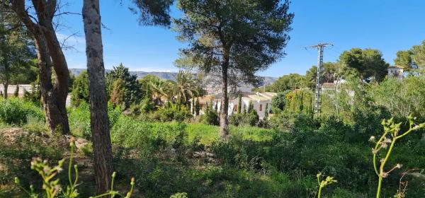 Terreno en camino Adsubies, 214 C