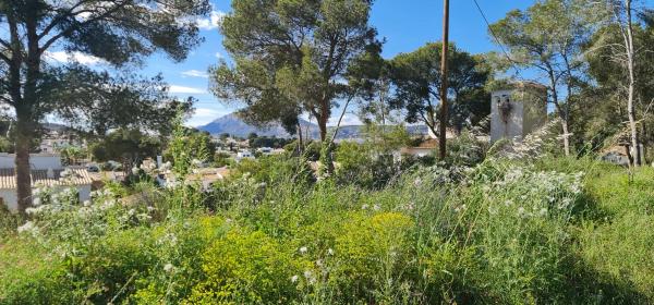 Terreno en camino Adsubies, 214 C