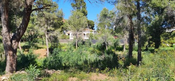 Terreno en camino Adsubies, 214 C