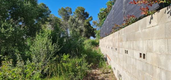 Terreno en camino Adsubies, 214 C