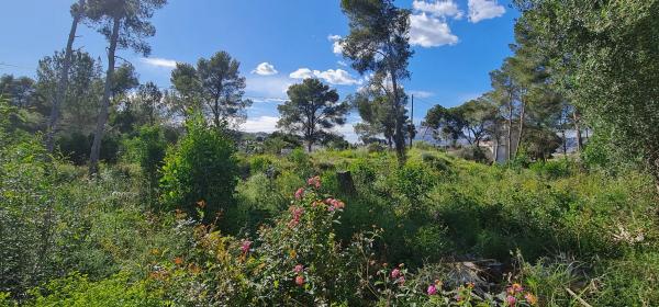 Terreno en camino Adsubies, 214 C