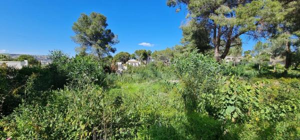 Terreno en camino Adsubies, 214 C