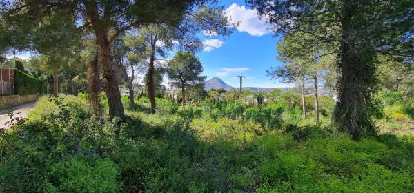 Terreno en camino Adsubies, 214 C