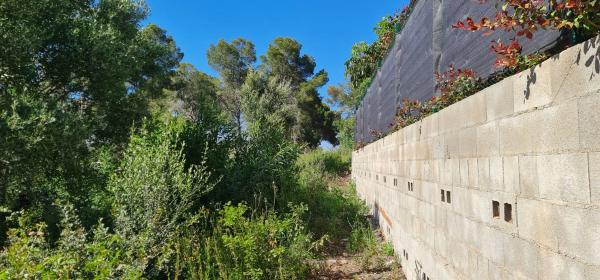 Terreno en camino Adsubies, 214 C