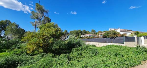 Terreno en camino Adsubies, 214 C