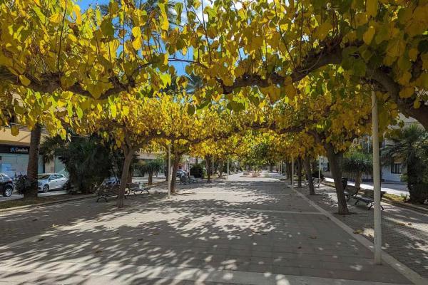 Terreno en Benimeit-Tabaira