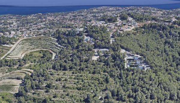 Terreno en calle Benitorafe