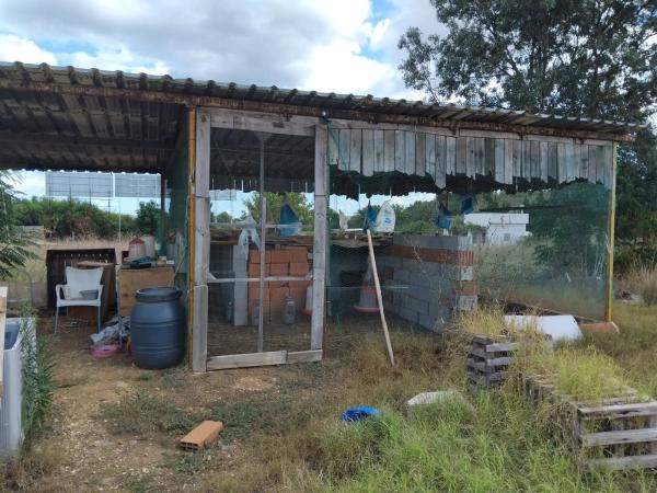 Terreno en camino dels Tossals