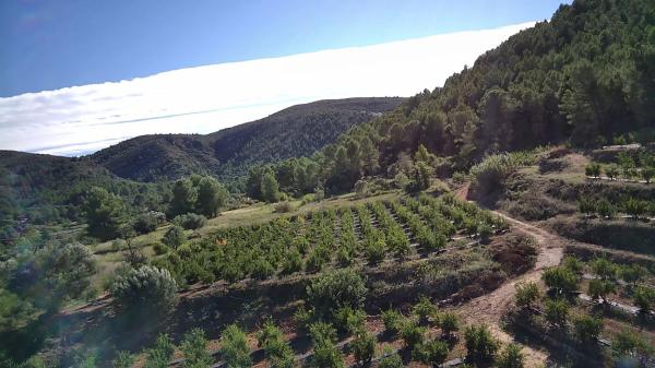 Terreno en Orba