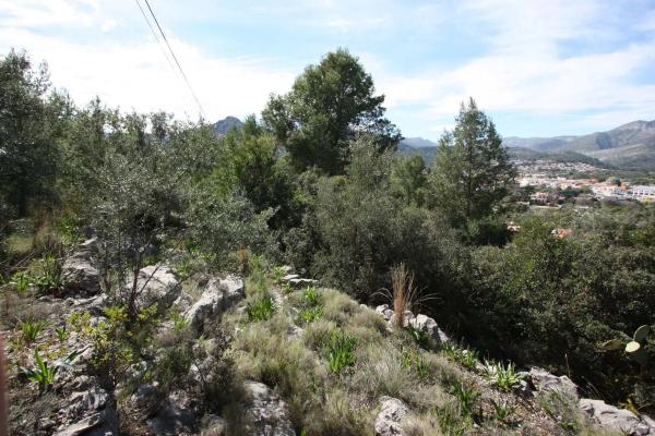 Terreno en Orba