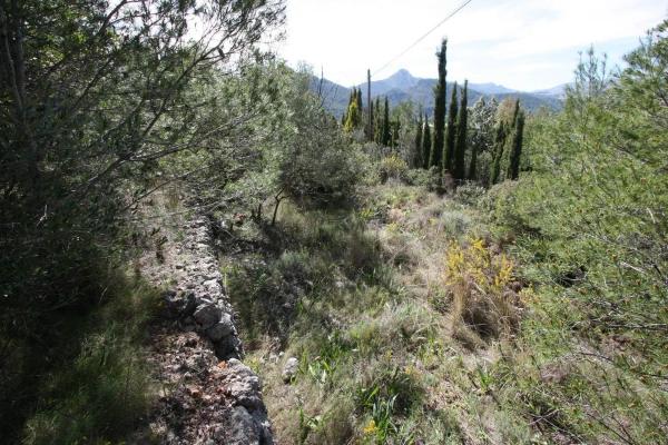 Terreno en Orba