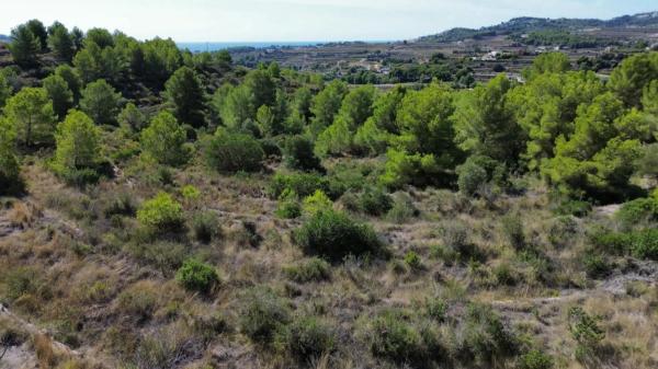 Terreno en Teulada