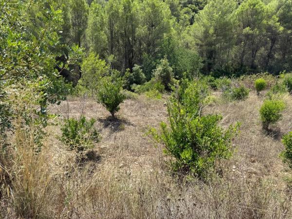 Terreno en La Solana, km 2