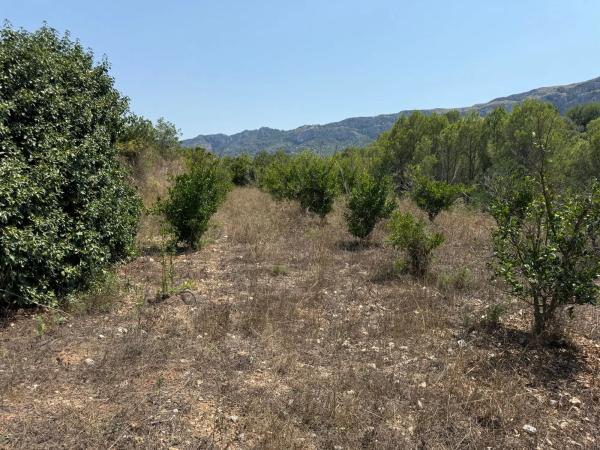 Terreno en La Solana, km 2