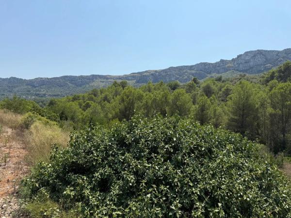 Terreno en La Solana, km 2