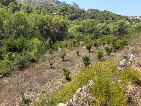 Terreno en La Solana, km 2