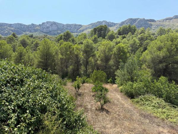 Terreno en La Solana, km 2