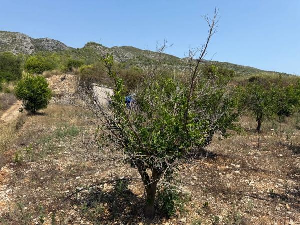 Terreno en La Solana, km 2