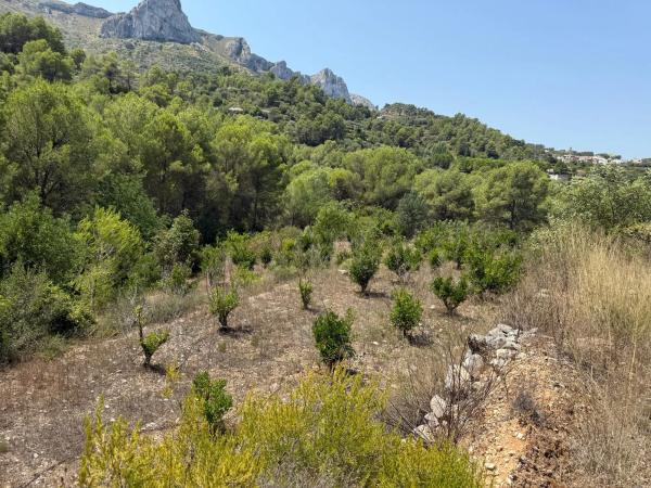 Terreno en La Solana, km 2