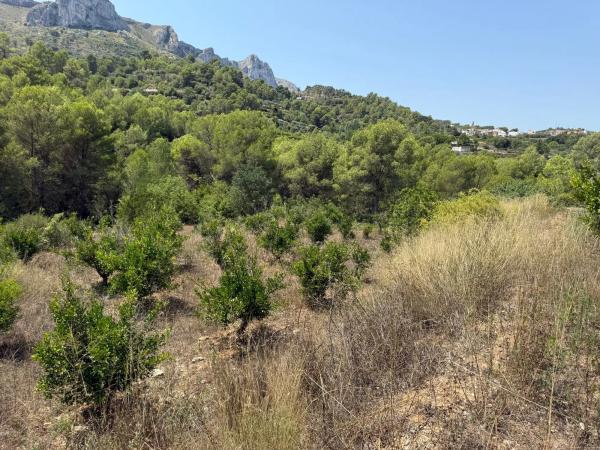 Terreno en La Solana, km 2