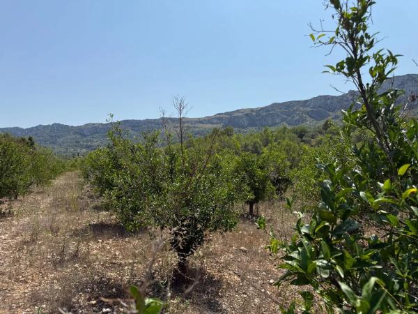 Terreno en La Solana, km 2