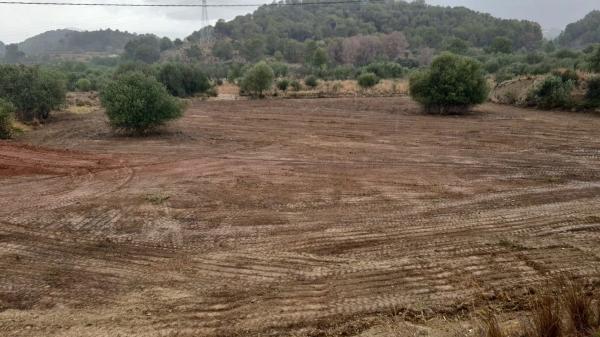 Terreno en Partida Sogay-Industria