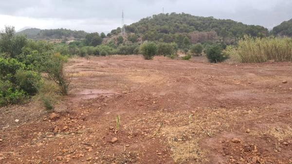 Terreno en Partida Sogay-Industria