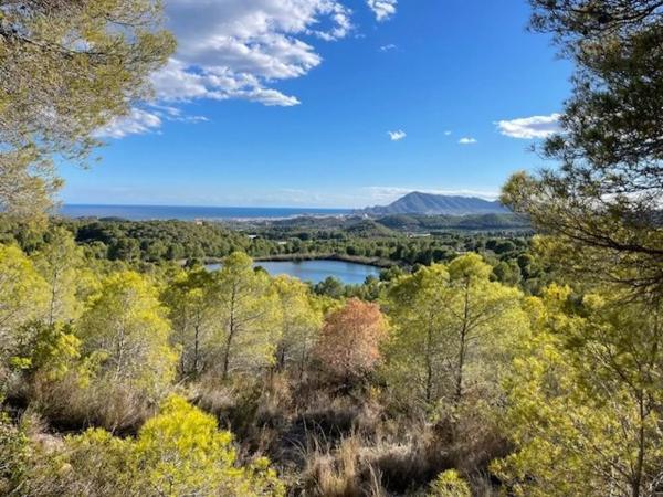 Terreno en Altea la Vella