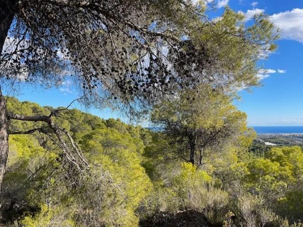 Terreno en Altea la Vella