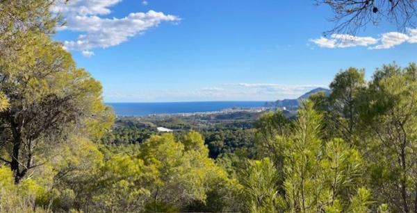 Terreno en Altea la Vella
