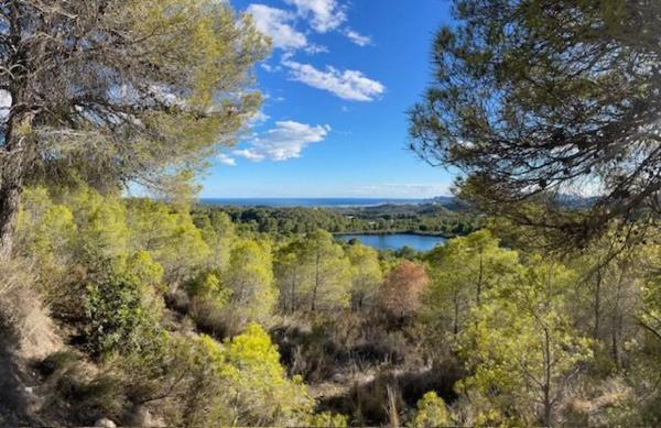 Terreno en Altea la Vella