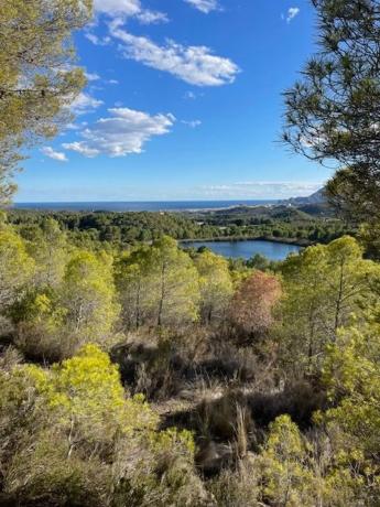 Terreno en Altea la Vella