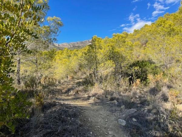 Terreno en Altea la Vella