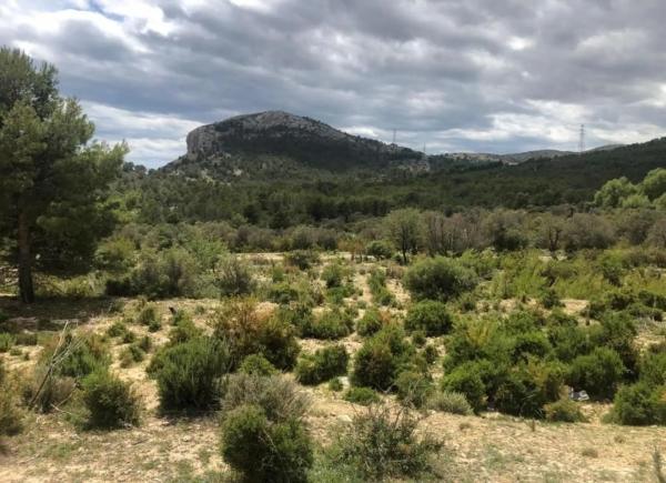 Terreno en via Sense Nom