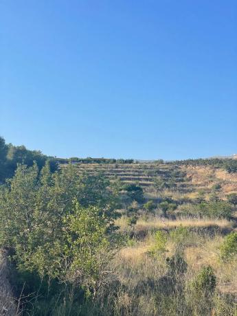Terreno en Callosa d'En Sarria