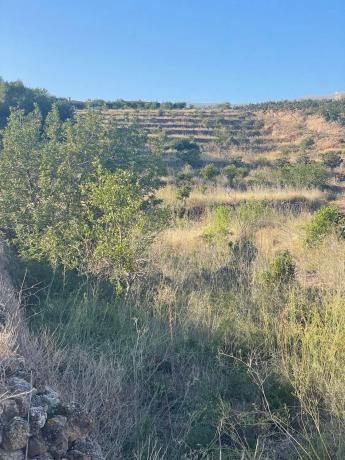 Terreno en Callosa d'En Sarria
