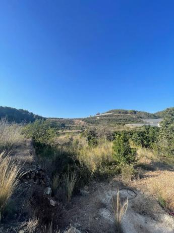 Terreno en Callosa d'En Sarria