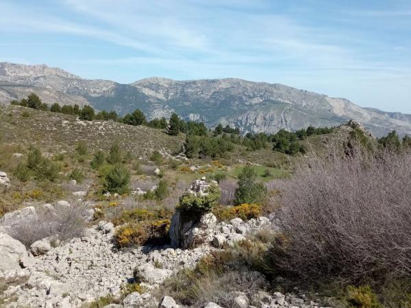 Terreno en Confrides, km 1